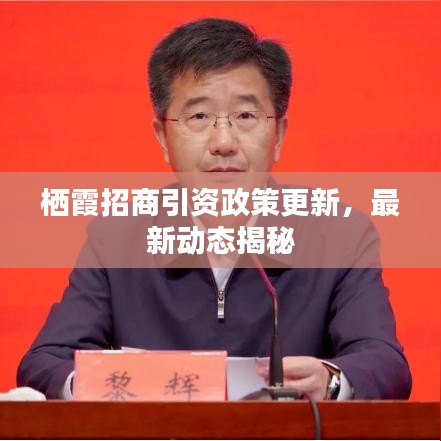 棲霞招商引資政策更新，最新動態(tài)揭秘