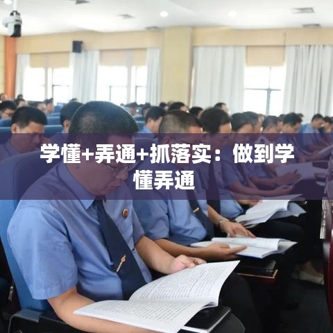 學(xué)懂+弄通+抓落實：做到學(xué)懂弄通 