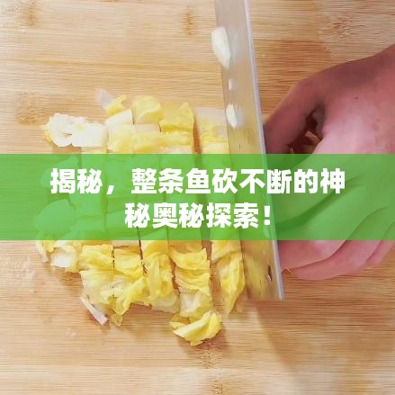 揭秘，整條魚(yú)砍不斷的神秘奧秘探索！