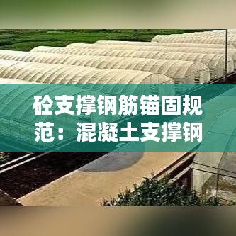 砼支撐鋼筋錨固規(guī)范：混凝土支撐鋼筋含量 