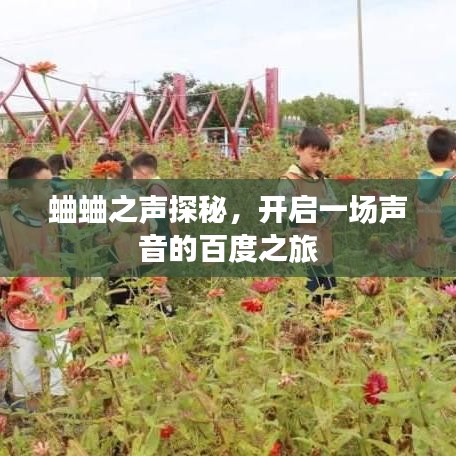 蛐蛐之聲探秘，開啟一場(chǎng)聲音的百度之旅
