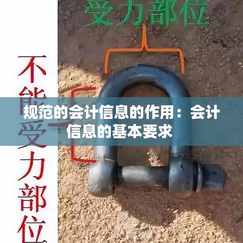 規(guī)范的會(huì)計(jì)信息的作用：會(huì)計(jì)信息的基本要求 