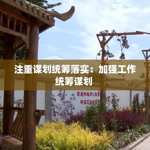 注重謀劃統(tǒng)籌落實(shí)：加強(qiáng)工作統(tǒng)籌謀劃 