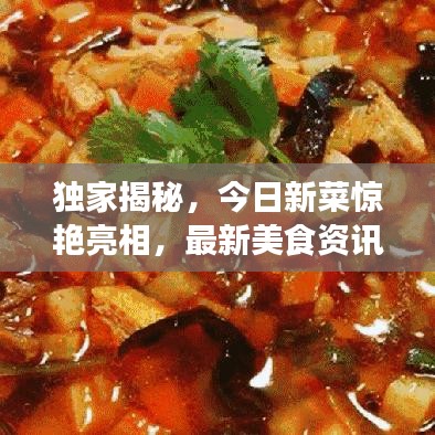 獨家揭秘，今日新菜驚艷亮相，最新美食資訊與獨家圖片一網(wǎng)打盡