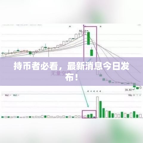 持幣者必看，最新消息今日發(fā)布！