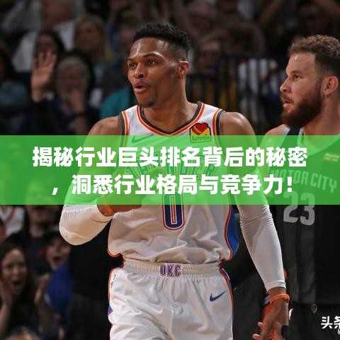 揭秘行業(yè)巨頭排名背后的秘密，洞悉行業(yè)格局與競爭力！