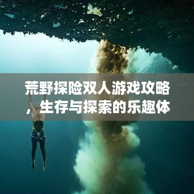 荒野探險雙人游戲攻略，生存與探索的樂趣體驗