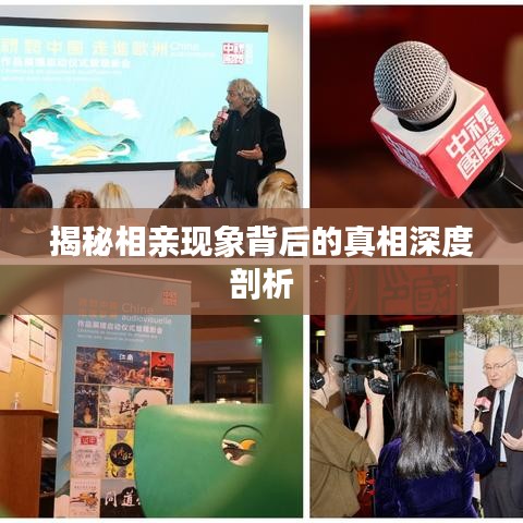 揭秘相親現(xiàn)象背后的真相深度剖析