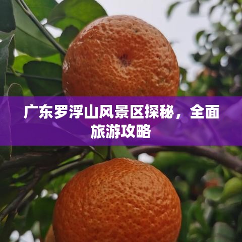 廣東羅浮山風(fēng)景區(qū)探秘，全面旅游攻略