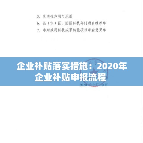 企業(yè)補(bǔ)貼落實(shí)措施：2020年企業(yè)補(bǔ)貼申報(bào)流程 