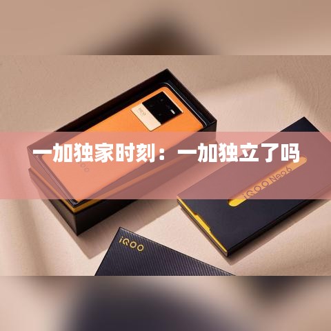 一加獨(dú)家時(shí)刻：一加獨(dú)立了嗎 