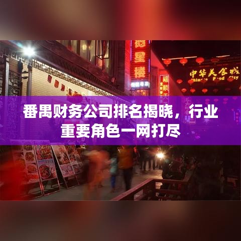 番禺財務公司排名揭曉，行業(yè)重要角色一網(wǎng)打盡