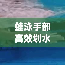 蛙泳手部高效劃水：蛙泳劃水時手應(yīng)該在水面還是水下 