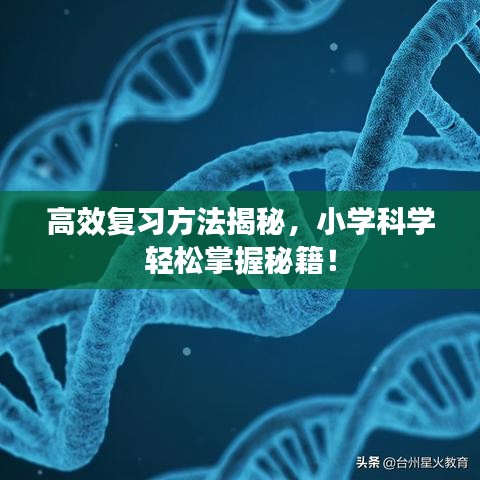 高效復(fù)習(xí)方法揭秘，小學(xué)科學(xué)輕松掌握秘籍！