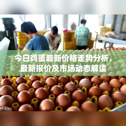 今日雞蛋最新價格走勢分析，最新報價及市場動態(tài)解讀