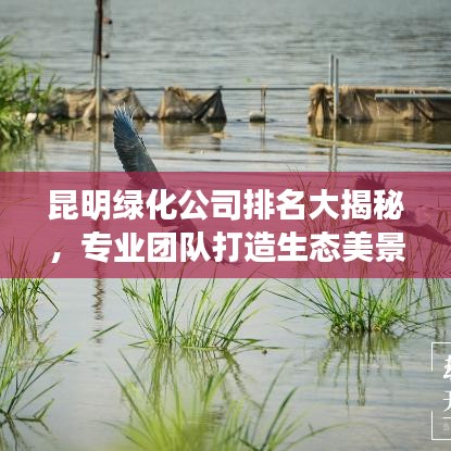 昆明綠化公司排名大揭秘，專業(yè)團(tuán)隊打造生態(tài)美景，優(yōu)質(zhì)企業(yè)榜單揭曉！