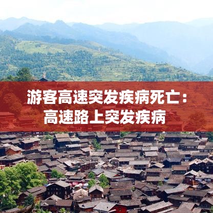 游客高速突發(fā)疾病死亡：高速路上突發(fā)疾病 