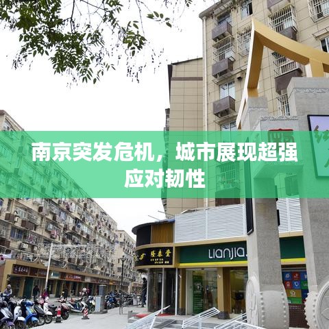 南京突發(fā)危機(jī)，城市展現(xiàn)超強(qiáng)應(yīng)對韌性