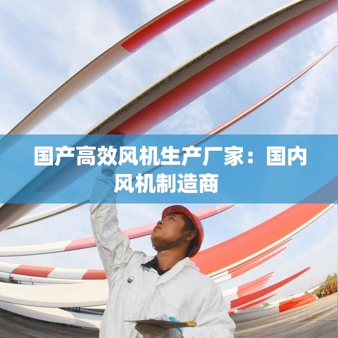 國產(chǎn)高效風機生產(chǎn)廠家：國內(nèi)風機制造商 