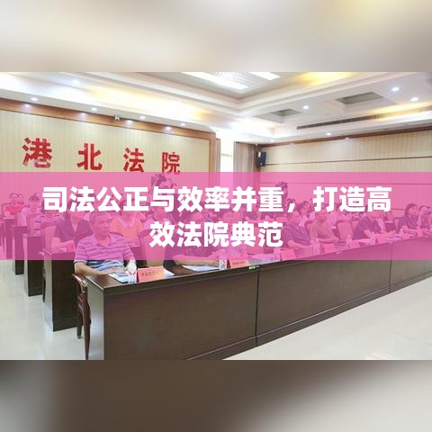 司法公正與效率并重，打造高效法院典范