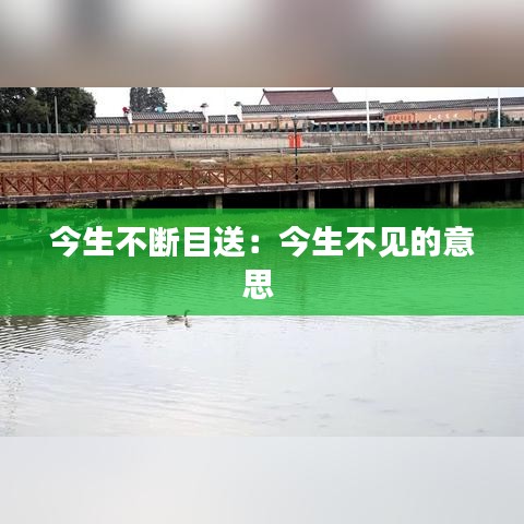 今生不斷目送：今生不見的意思 