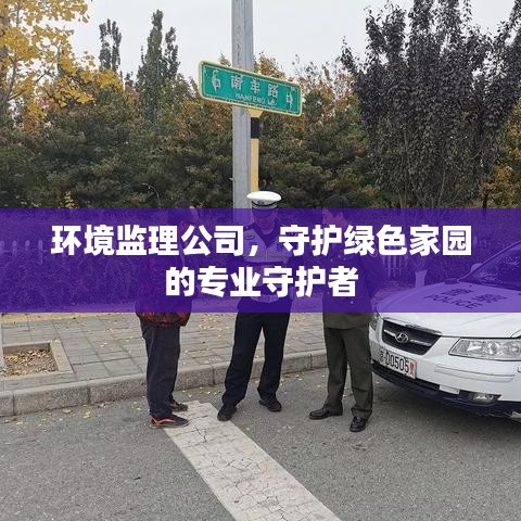 環(huán)境監(jiān)理公司，守護綠色家園的專業(yè)守護者