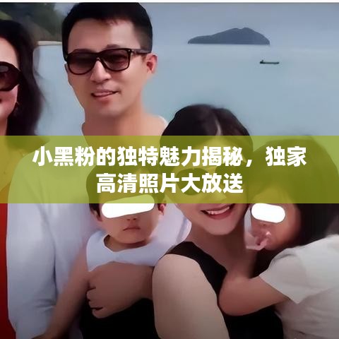 小黑粉的獨(dú)特魅力揭秘，獨(dú)家高清照片大放送