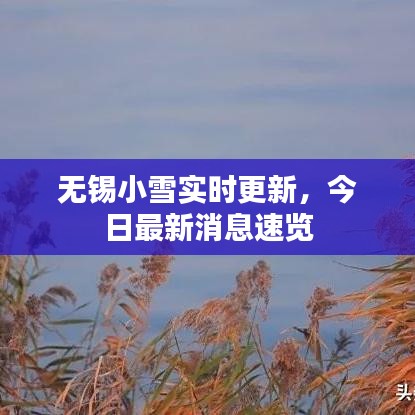 無(wú)錫小雪實(shí)時(shí)更新，今日最新消息速覽