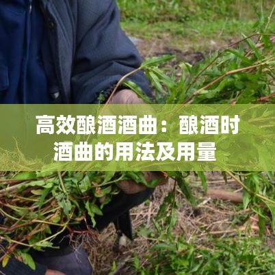 高效釀酒酒曲：釀酒時(shí)酒曲的用法及用量 