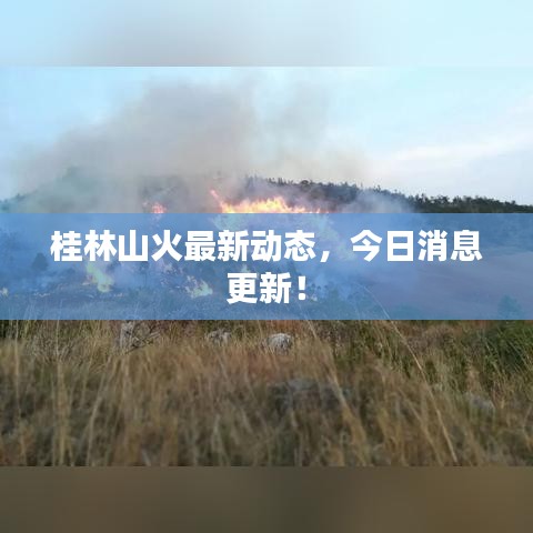 桂林山火最新動(dòng)態(tài)，今日消息更新！
