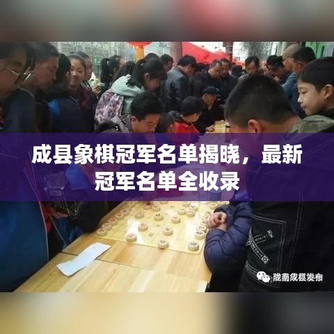 成縣象棋冠軍名單揭曉，最新冠軍名單全收錄