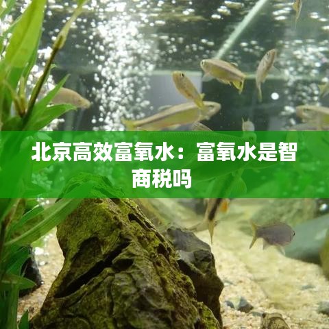 北京高效富氧水：富氧水是智商稅嗎 