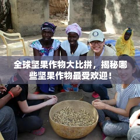 全球堅(jiān)果作物大比拼，揭秘哪些堅(jiān)果作物最受歡迎！