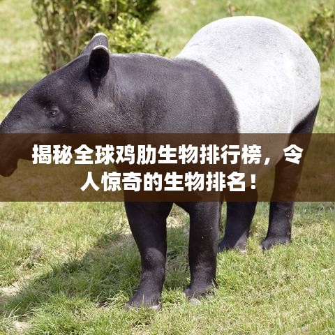 揭秘全球雞肋生物排行榜，令人驚奇的生物排名！