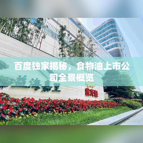 百度獨(dú)家揭秘，食物油上市公司全景概覽