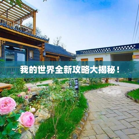 我的世界全新攻略大揭秘！