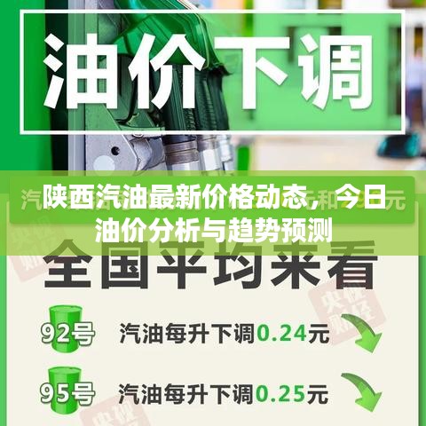 陜西汽油最新價格動態(tài)，今日油價分析與趨勢預(yù)測