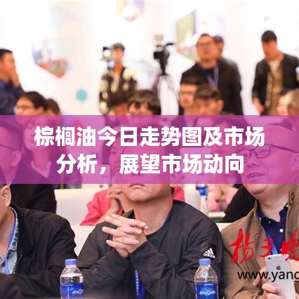 棕櫚油今日走勢圖及市場分析，展望市場動向