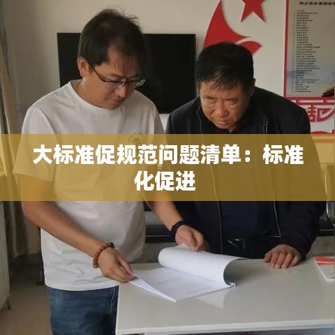 大標準促規(guī)范問題清單：標準化促進 