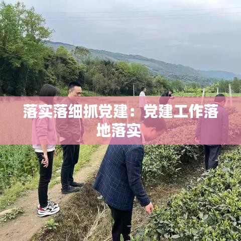 落實(shí)落細(xì)抓黨建：黨建工作落地落實(shí) 