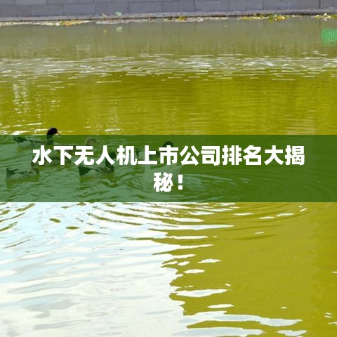 水下無人機(jī)上市公司排名大揭秘！