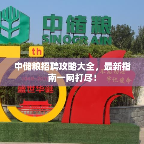 中儲(chǔ)糧招聘攻略大全，最新指南一網(wǎng)打盡！
