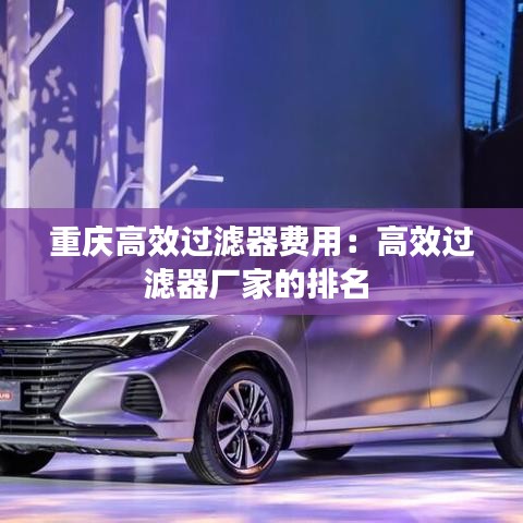 重慶高效過濾器費(fèi)用：高效過濾器廠家的排名 