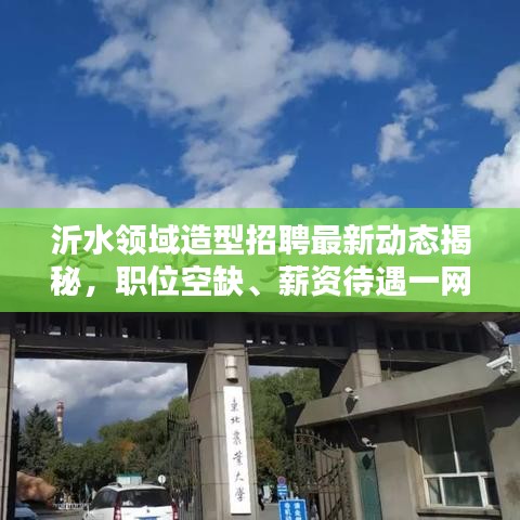 沂水領(lǐng)域造型招聘最新動態(tài)揭秘，職位空缺、薪資待遇一網(wǎng)打盡