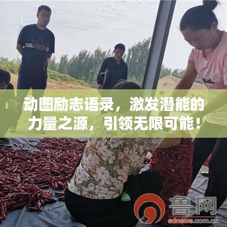 動圖勵志語錄，激發(fā)潛能的力量之源，引領無限可能！