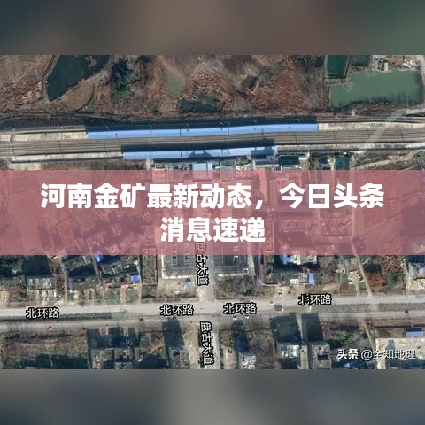 河南金礦最新動態(tài)，今日頭條消息速遞