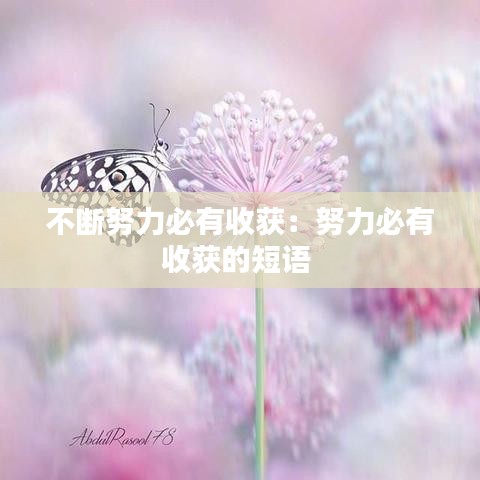不斷努力必有收獲：努力必有收獲的短語(yǔ) 
