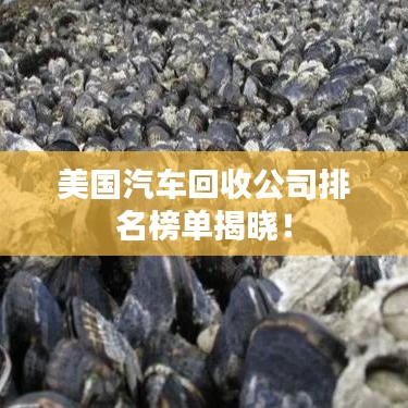 美國(guó)汽車(chē)回收公司排名榜單揭曉！