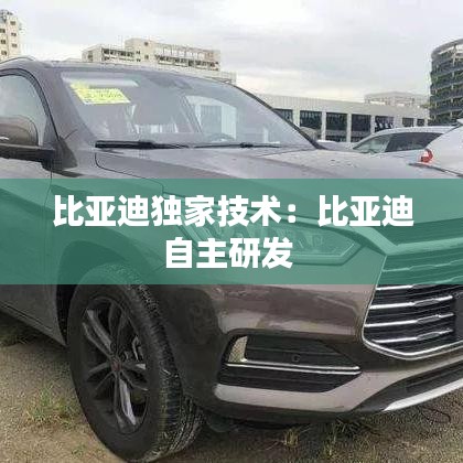比亞迪獨家技術(shù)：比亞迪自主研發(fā) 