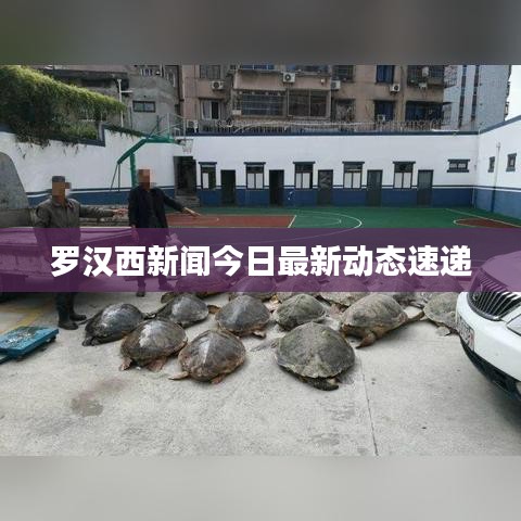 羅漢西新聞今日最新動態(tài)速遞